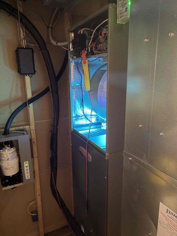 Performed heating tune-ups on two furnaces, including inspection of the blower assembly, wiring connections, and electrical components with amperage verification using a clamp meter. Inspected the media air cleaner and removed and checked the pleated filter. No frost, rust, or visible damage was observed, and both systems were operating properly at completion.
