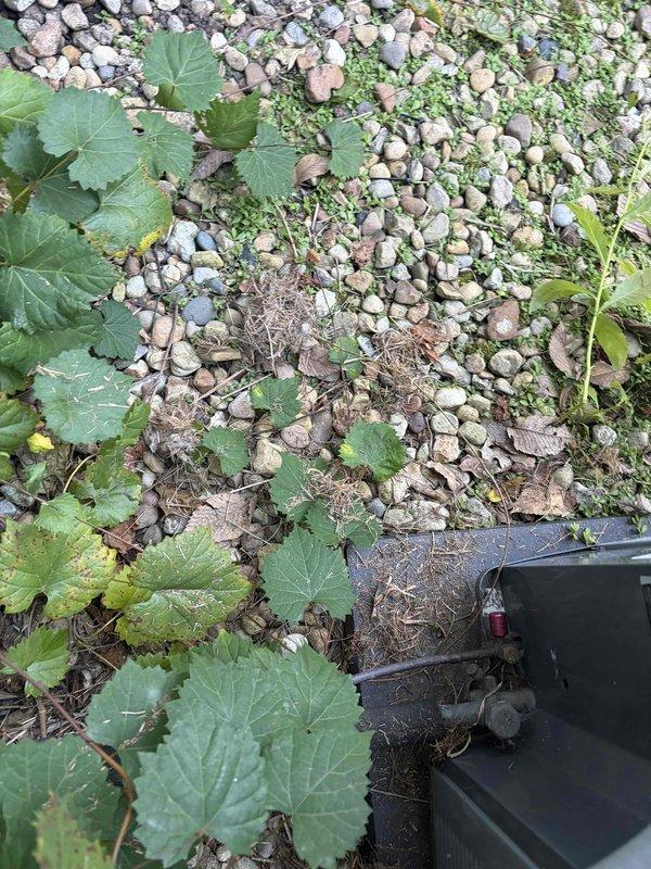 Repaired the PVC flue by replacing the damaged section and installing the PVC street fitting in the correct orientation to help prevent recurrence. Removed the failed component from the site and disposed of it.