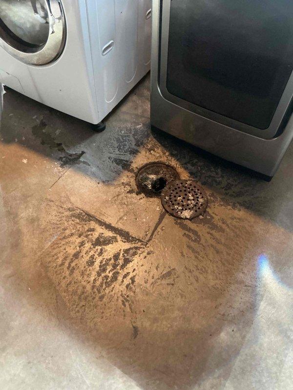 Performed a main drain cleanout to clear the sewer line after the basement floor drain backed up during washer discharge. Accessed the exterior cleanout, ran the drain cleaning equipment through the main line to remove the obstruction, and restored normal flow. Inspected the laundry-area floor drain, which showed sludge buildup and corrosion on the cover, and confirmed the line now drains properly.