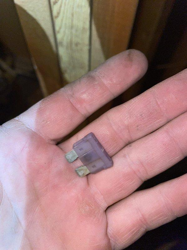 Diagnosed a no-heat condition on the basement furnace and found a blown low-voltage automotive blade fuse on the control board, with a darkened element and tarnished prongs. Replaced the fuse and inspected the system, noting deteriorated condenser line set insulation and debris around the outdoor unit that should be addressed to prevent a recurrence.