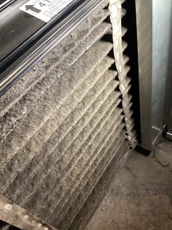 Performed seasonal heating tune-up on a 5-year-old Bryant gas furnace, inspecting the flue, gas supply connections, and humidifier assembly for proper operation. Found the return air filter heavily clogged with dust and lint, restricting airflow, and replaced it to restore proper system performance. Noted damp staining on the basement floor near the furnace base and condensate drain, which should be monitored for moisture sources.