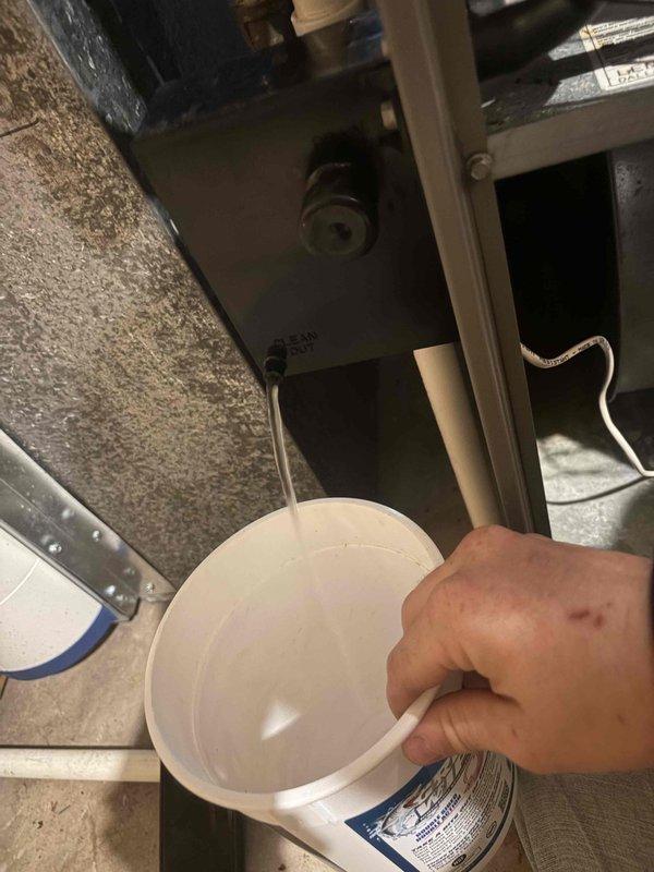 Performed a heating tune-up on a Lennox Elite gas furnace, inspecting the cabinet, PVC condensate and venting, and the Honeywell EnviraCaire unit for leaks, corrosion, and damage, with none found. Flushed the condensate drain through the clean-out port, confirming proper drainage with a clear, unobstructed flow. The system was operating correctly at completion.