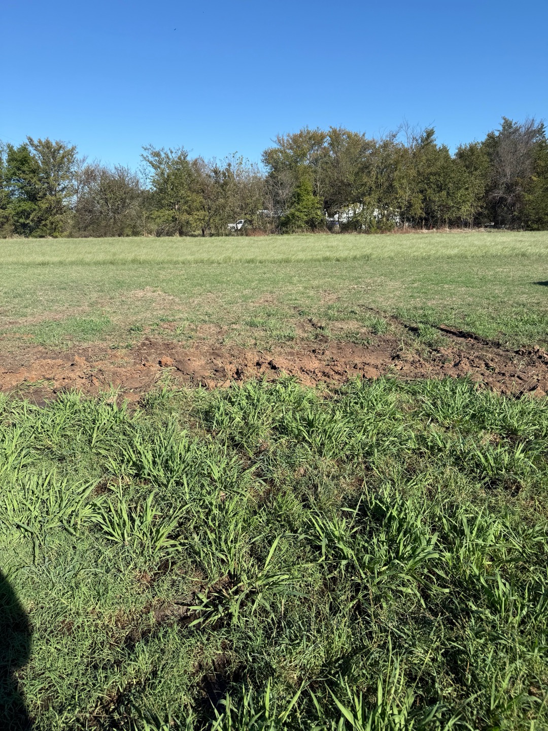 Install new 1” pvc sprinkler line with 3 sprinkler heads