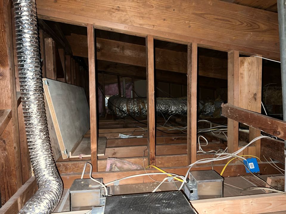 Attic clean out, removal of contaminated insulation, replaced with new sterile fiberglass. 