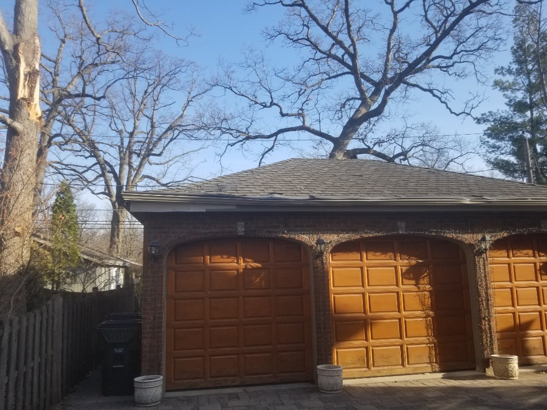roof, gutter, fascia repair. tree fell on roof. roof, gutter, fascia repair. tree fell on roof.