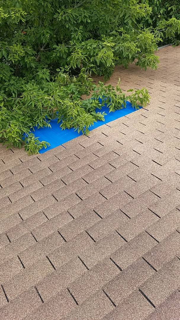 Estimating repair on a 3 tab asphalt shingle roof Estimating repair on a 3 tab asphalt shingle roof