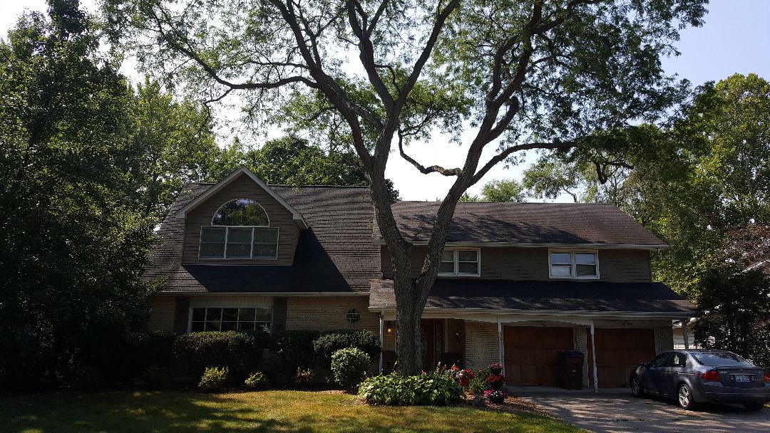Shingle roof hail storm damage estimate for insurance work Shingle roof hail storm damage estimate for insurance work