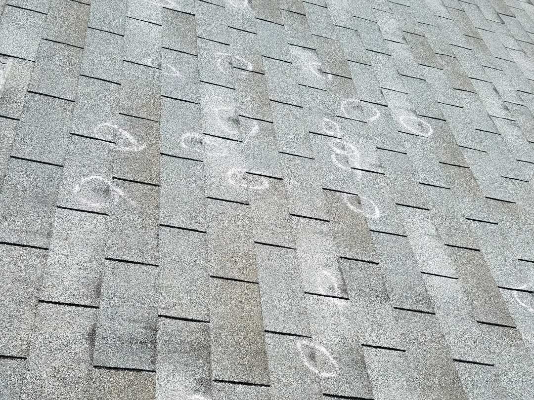 Inspecting asphalt shingle roof for hail damage Inspecting asphalt shingle roof for hail damage