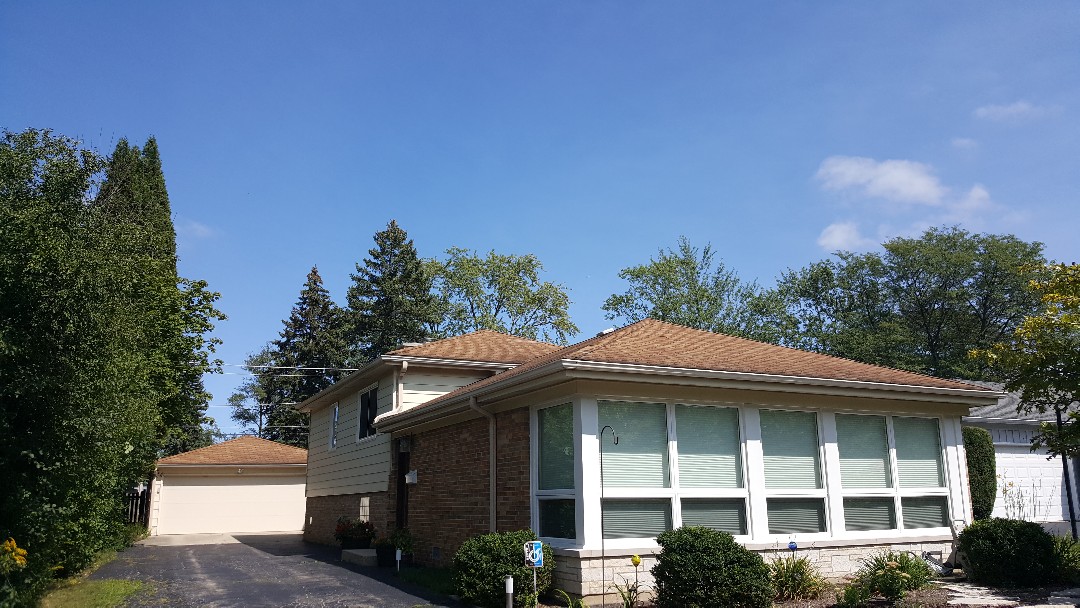 Shingle roof inspection Shingle roof inspection