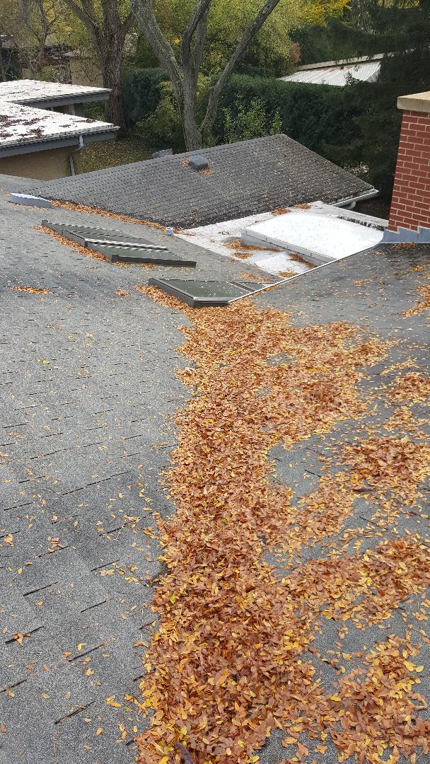 Shingle roof repair estimate Shingle roof repair estimate