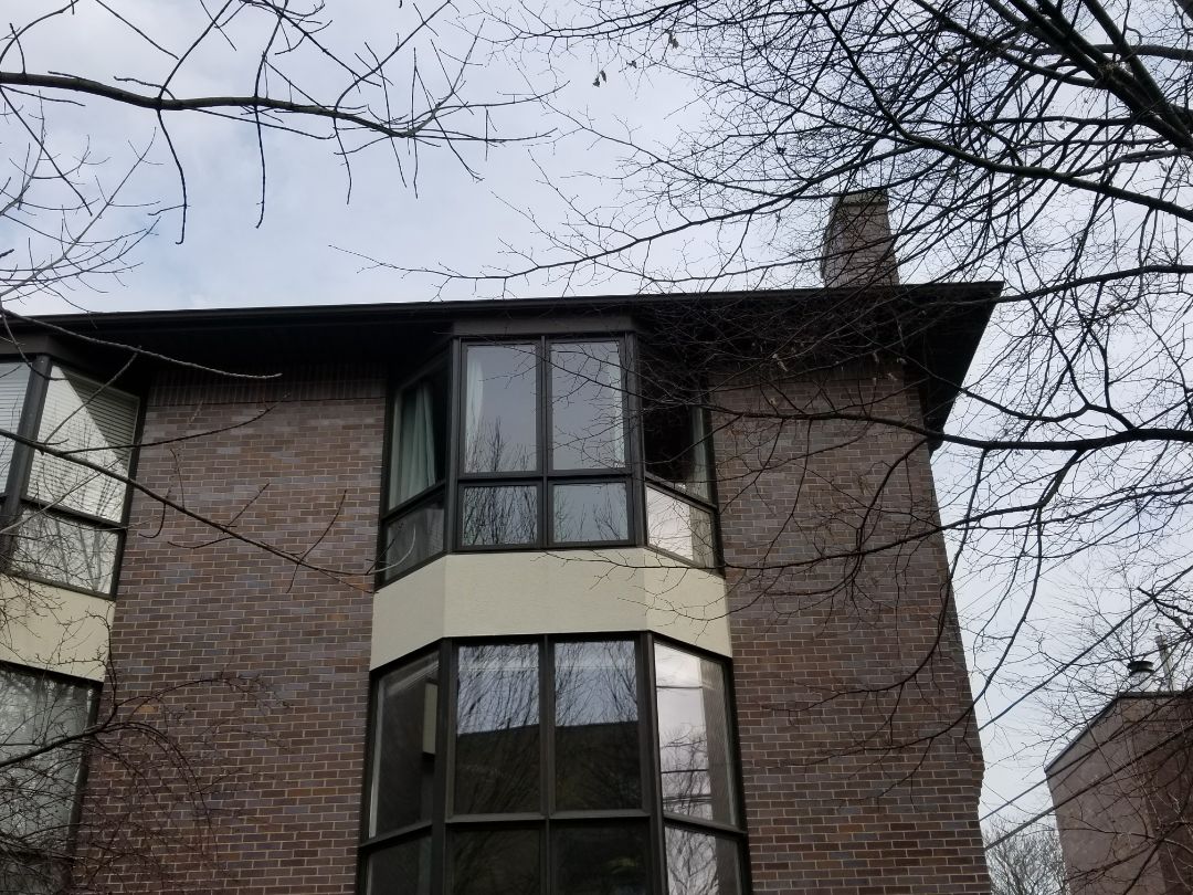 Estimate on fascia repair Estimate on fascia repair