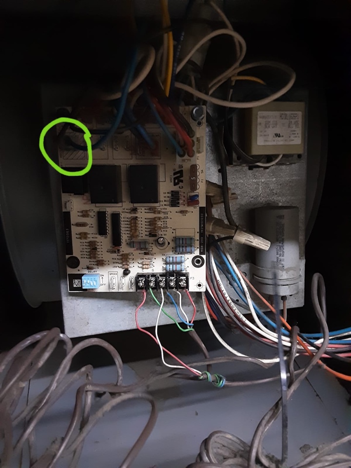 Carrier Furnace, No A/C: Terminal loose at Control Board