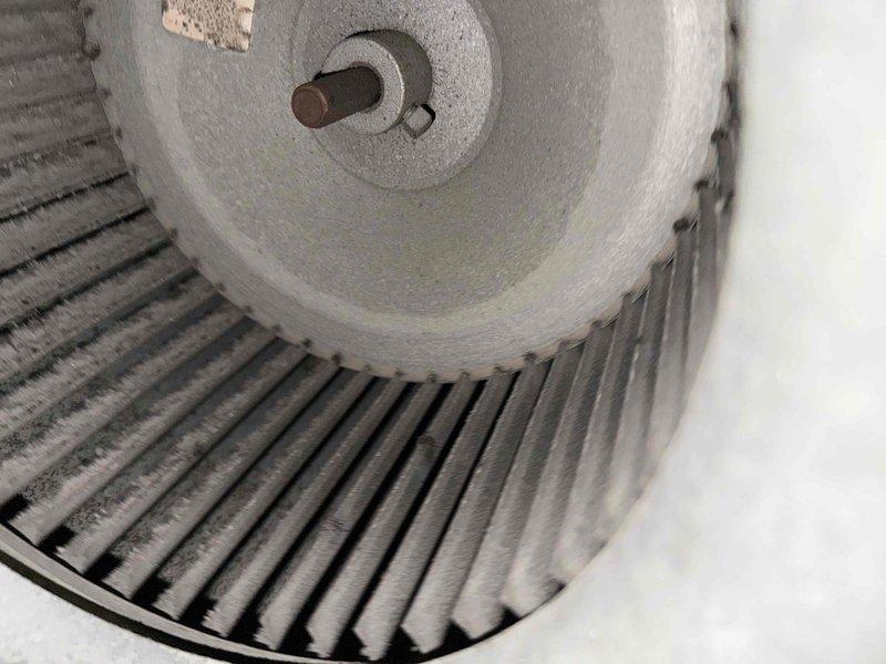 Responded to a no-heat call where customer reported cool air blowing from vents. Inspection revealed significant dust accumulation on the blower wheel assembly, restricting proper airflow and causing system inefficiency. Performed comprehensive cleaning of the blower wheel and surrounding components, restoring proper heat distribution throughout the home.