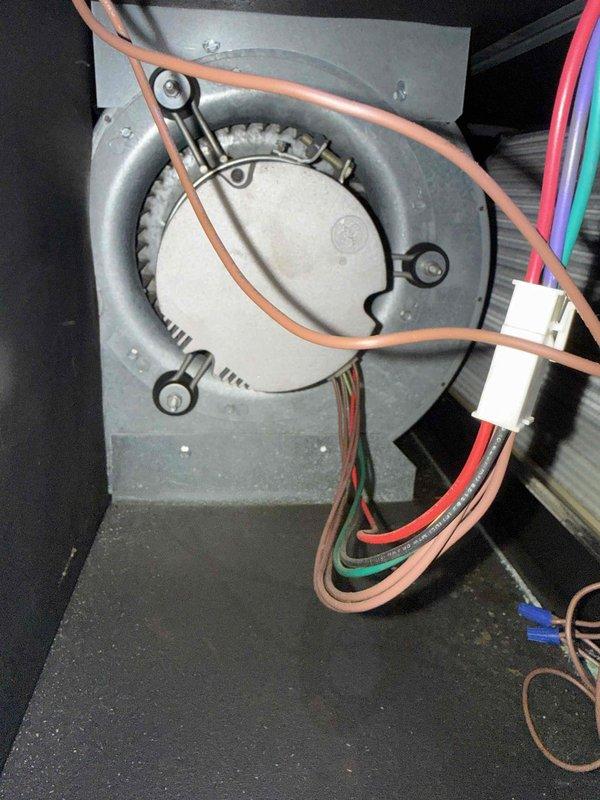 Completed comprehensive Comfort Plan clean and check maintenance on single HVAC system. Performed thorough inspection of air handler components including blower assembly, control board, and electrical connections. All wiring terminals verified secure, blower motor operating within normal parameters, and control board functioning properly with no signs of component failure or overheating. System tested and confirmed operational per manufacturer specifications.