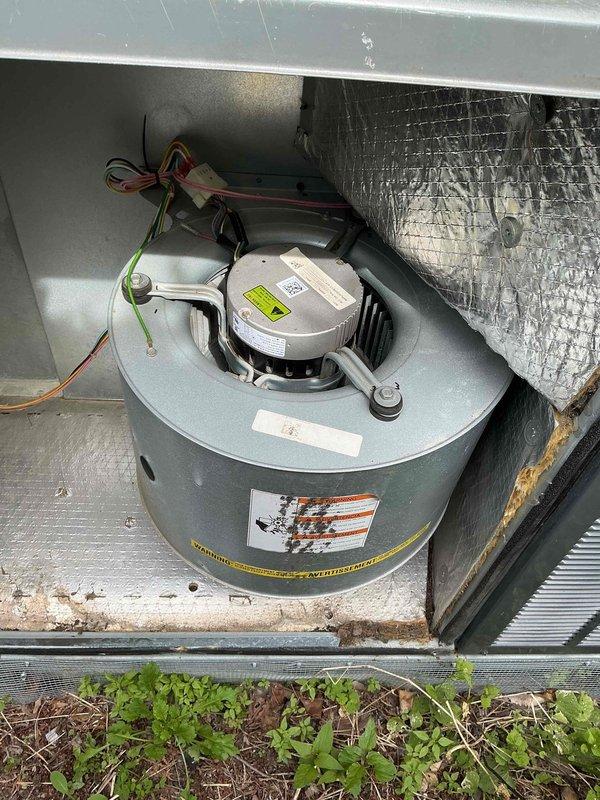 Responded to no cooling call on residential air handler unit approximately 6-9 years old. Upon arrival, performed system diagnostics and inspected blower motor assembly and electrical connections within the air handler cabinet. Verified proper motor operation, checked wire terminations at junction box for secure connections and signs of overheating or failure. Inspected blower wheel for obstructions and proper rotation. Noted unit installed at ground level with some debris accumulation at base. Tested electrical components and motor capacitor functionality. System returned to normal cooling operation following inspection and minor adjustments to electrical connections.