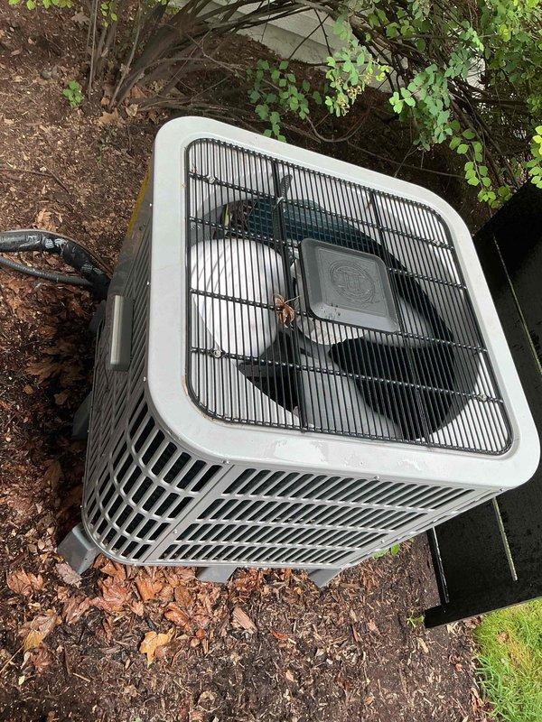 Performed comprehensive clean and check maintenance on Bosch air conditioning system per Comfort Plan agreement. Inspected outdoor condensing unit including condenser coil, fan motor operation, and electrical components. Accessed control board and verified all electronic components, including toroidal inductors, capacitors, and digital display functioning properly at 8.8 reading. Checked all wire connections, terminal tightness, and control board indicators showing normal green and red LED status. Cleaned condenser coil, inspected fan blade assembly and grille guard, verified proper drainage, and confirmed refrigerant levels within manufacturer specifications. Unit operating efficiently with no deficiencies noted.