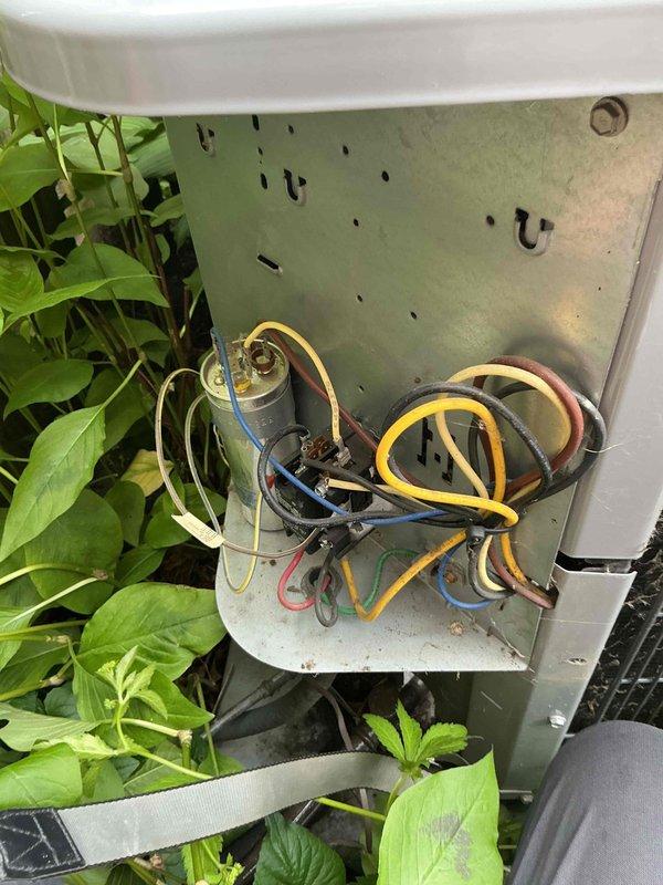 Completed preventive maintenance clean and check on first floor air conditioning system as requested. Inspected electrical components including capacitor, verified proper wire connections with secure wire nuts, and documented equipment condition. Noted vegetation growth near outdoor unit that should be monitored to prevent airflow obstruction and potential damage to electrical compartment.