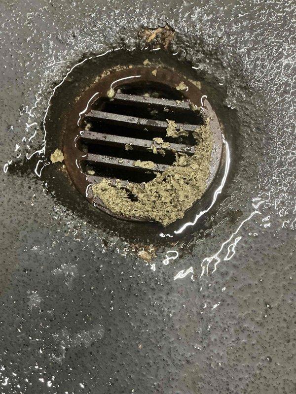 Responded to water leak complaint at commercial property. Accessed condensate drain line from garage level below the affected unit. Cleared blockage from drain line, flushed system to restore proper flow, and installed union fitting at unit to facilitate future maintenance and allow for direct line flushing to main drain. Coordinated with office for property management approval prior to completing work. System tested and draining properly upon completion.