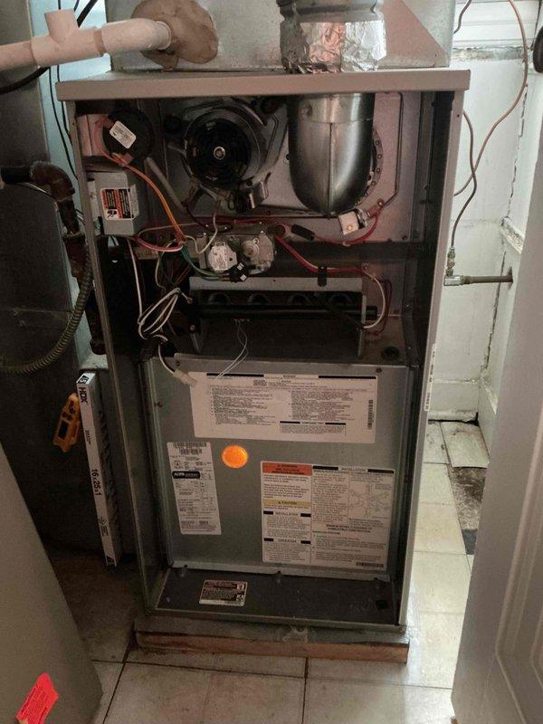 Completed comprehensive tune-up service on single HVAC system for new customer. Performed full inspection of furnace unit with access panel removed, documenting internal components including control board, blower motor, gas valve manifold, electrical connections, and wiring throughout cabinet. Collected all equipment specifications and model information from manufacturer labels for service records.