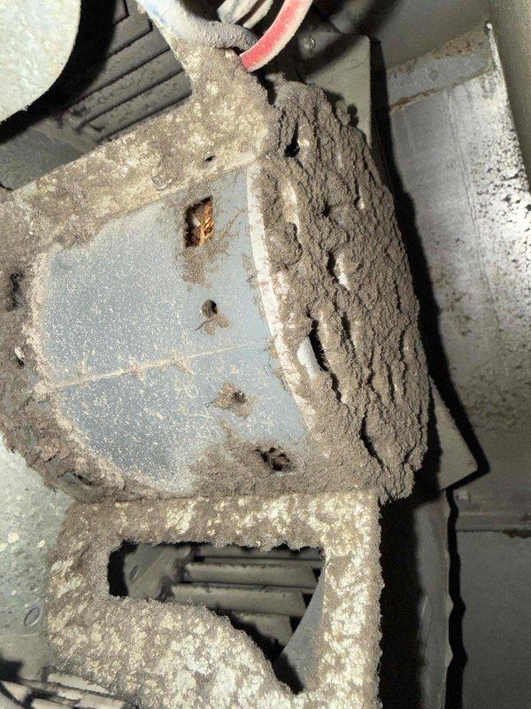 Completed comprehensive clean and check maintenance on furnace and air conditioning system per comfort plan agreement. Performed carbon monoxide safety testing with digital analyzer, confirming zero CO detection and safe operation of heating system. Inspected all internal furnace components including blower motor, gas valve assembly, electrical connections, and control systems. Addressed significant dust and debris accumulation on blower assembly and air handler components through thorough cleaning to restore proper airflow and system efficiency. Verified all mechanical and electrical systems operating within normal parameters for both heating and cooling equipment.