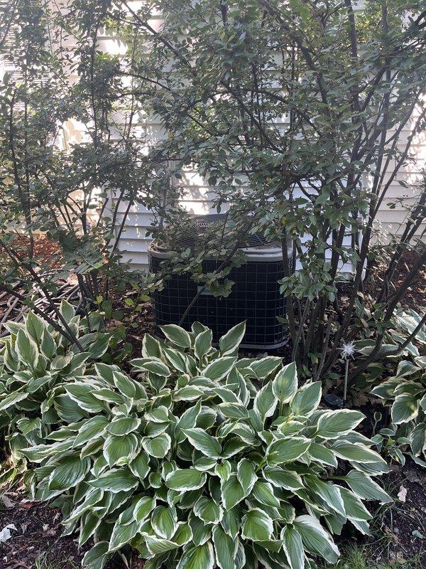 Conducted comprehensive assessment of 17-year-old Comfort Maker air conditioning system located in backyard area. Unit remains operational despite age. Evaluated outdoor condensing unit positioned against building exterior, partially screened by landscaping including hostas and ornamental shrubs. Inspected indoor furnace and air handler system in basement mechanical room, noting proper PVC venting configuration and drainage lines. Documented current system condition through photographic evidence of both indoor and outdoor components. Provided estimate for replacement air conditioning system with available promotional discount to address aging equipment and improve energy efficiency.