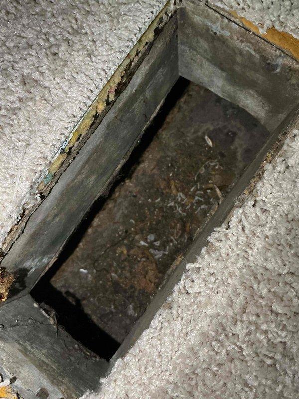 Completed comprehensive duct cleaning service for single-system residential HVAC installation. Removed floor vent covers and accessed ductwork throughout the home, addressing aged metal ductwork showing significant corrosion, rust buildup, and debris accumulation. Thoroughly cleaned interior duct surfaces, removing contaminants and degraded material particularly concentrated in lower sections of the system. Serviced ventilation components embedded in insulation, addressing gaps and deterioration at duct-to-insulation interfaces. All accessible ductwork was cleaned and inspected, restoring proper airflow and improving indoor air quality for the single-system home.