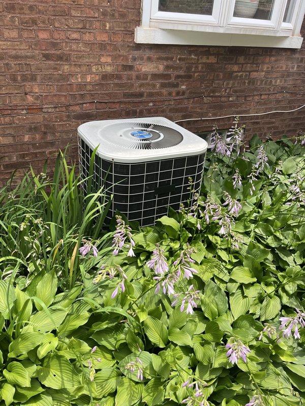 Completed comprehensive estimate for full HVAC system replacement on 25-year-old equipment. Current furnace and air conditioning condenser are operational but nearing end of service life. Assessed existing outdoor condenser unit positioned against exterior brick wall and inspected interior furnace cabinet components including blower motor assembly and control wiring. Provided high-efficiency system upgrade options to improve energy performance and reliability.