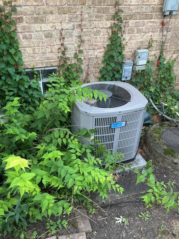 Completed spring preventive maintenance and clean and check service on residential air conditioning system per comfort plan agreement. Performed comprehensive inspection of outdoor condensing unit, measured and recorded electrical amperage readings at 65.3 amps indicating proper compressor operation, verified capacitor specifications and connections, and checked all electrical components for proper function. Noted vegetation growth around unit requiring future clearance to maintain adequate airflow and prevent potential service issues.