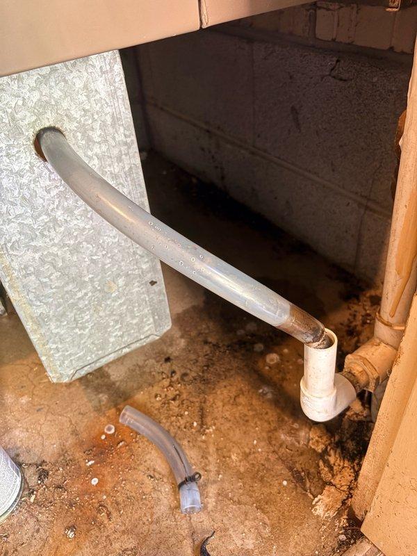 Responded to water leak call in basement utility area. Upon inspection, found evidence of moisture damage on concrete floor with significant staining and discoloration patterns indicating previous water intrusion. Examined PVC drainage piping system and connections, including white coupling joints and elbow fittings connecting to copper piping. Assessed condition of plumbing infrastructure, noting older metal components showing signs of corrosion and oxidation in proximity to newer PVC installations. Documented existing conditions with photographs showing water damage patterns, pipe routing, and structural elements. Communicated findings to property owner regarding association responsibility and reimbursement procedures. Collected standard dispatch fee and explained diagnostic process, flat rate repair options, and available customer programs. Recorded all equipment information for service records.