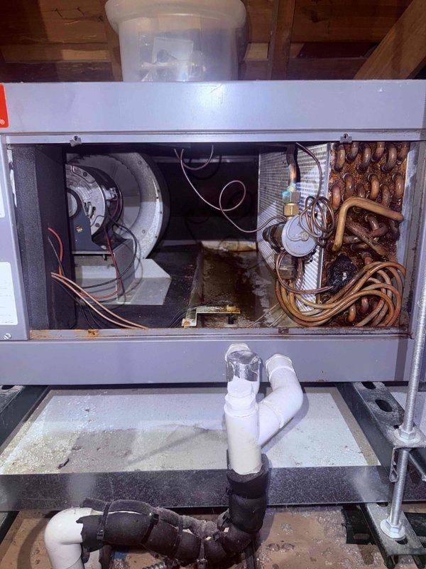 Completed spring maintenance clean and check on single-system air conditioning unit with air handler per comfort plan agreement. Performed comprehensive inspection of blower assembly, evaporator coil, and drainage system; noted rust formation on blower motor shaft and typical dust accumulation on blower wheel and internal components. All mechanical components inspected, system operational upon completion.