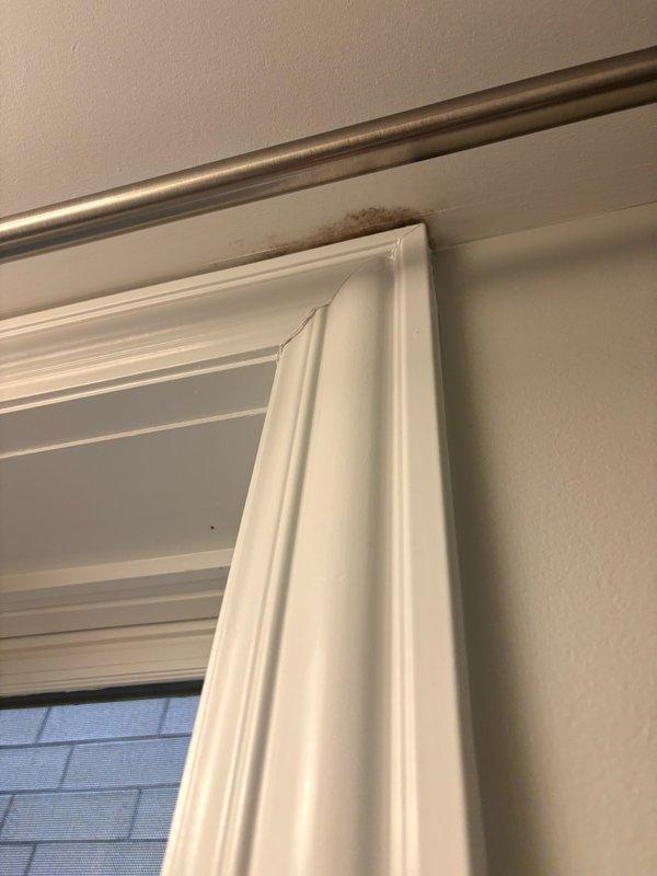 Responded to service call for reported water leak in HVAC duct system causing ceiling mold growth. Performed diagnostic inspection of residential utility closet housing furnace, water heater, and associated ductwork. Identified water damage and staining on ceiling near HVAC equipment, with visible discoloration indicating active moisture intrusion. Inspected galvanized steel plenum, ductwork transitions, and condensate drainage system for leak sources. Documented equipment conditions and leak evidence with photographs. Provided customer with flat-rate repair options to address leak source and prevent further water damage, allowing mold remediation to proceed safely.