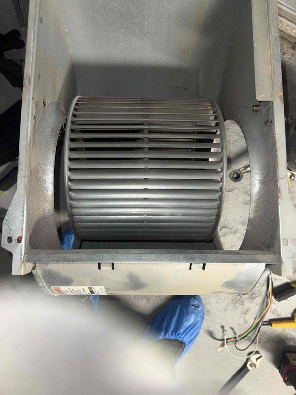 Performed blower wheel cleaning service on HVAC unit. Removed blower assembly from housing, thoroughly cleaned accumulated debris and dust from squirrel cage fan blades and interior plenum chamber, and reinstalled components to restore proper airflow and system efficiency.