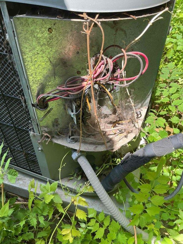 Responded to service call for air conditioning system blowing warm air on approximately 10-year-old unit. Upon arrival, found outdoor condenser unit heavily overgrown with vegetation and significant biological growth including algae and moss throughout cabinet interior and exterior surfaces. Access panel revealed substantial accumulation of dirt, debris, and cobwebs affecting internal components. Customer reported previous freezing issue and suspected low refrigerant charge. Noted humidifier filter had not been replaced despite recent air filter change. Documented severe lack of maintenance and environmental obstruction compromising unit performance and airflow. Collected standard dispatch fee and photographed equipment condition. Discussed ongoing maintenance needs and provided estimate for Mitsubishi mini-split installation as requested. Entered all equipment information into system and presented comfort plan options to new customer.