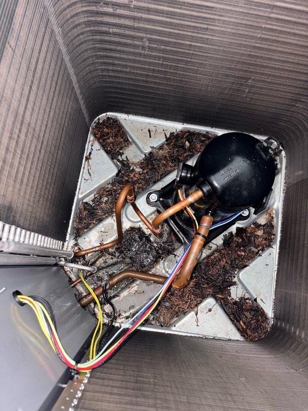 Performed warranty repair on HVAC system by cutting out damaged 1/2" refrigerant line at evaporator coil and brazing in new pipe section. Recharged system using calibrated refrigerant scale, verified proper operation of all components including compressor and fan assembly, and confirmed system cooling performance met manufacturer specifications.