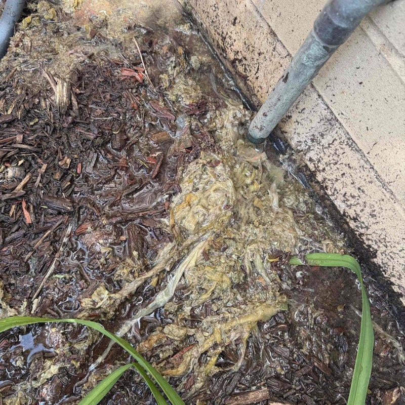 Responded to no cooling complaint at Unit 301 in multi-unit building. Upon arrival, discovered evidence of condensate drainage issue with water accumulation at exterior discharge point. Inspected building's common condensate drain system and located maintenance tag indicating last flush performed in August 2024. Confirmed condensate line blockage affecting building's shared drainage infrastructure. Coordinated with office to obtain building management approval for service work. Documented existing conditions with photographs showing saturated discharge area and condensate system components. Advised that issue originates from common building plumbing rather than individual unit equipment malfunction.