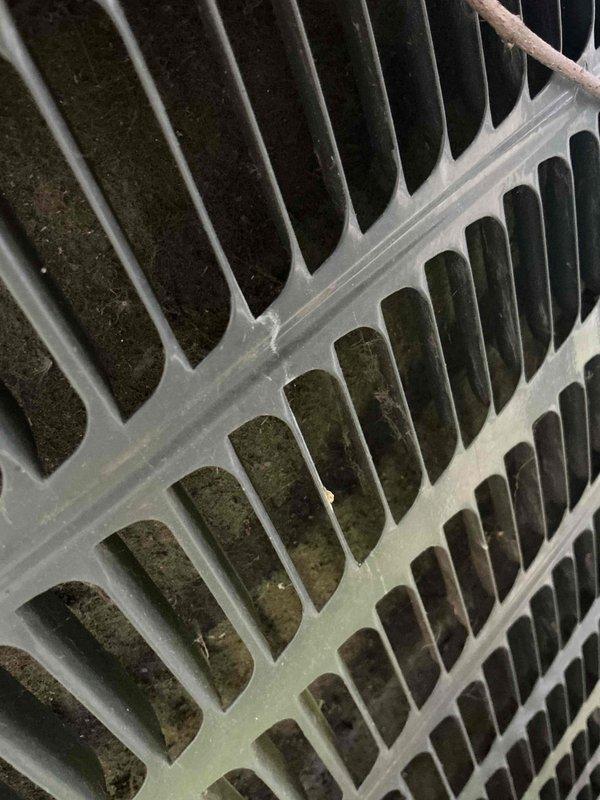 Responded to no cooling complaint on first floor of rental property. Upon inspection, found outdoor condenser unit operational but evaporator coil heavily contaminated with mold, mildew, and debris buildup restricting airflow. Documented equipment condition with photos showing significant biological growth on coil fins affecting system performance. Performed diagnostic evaluation, recorded all equipment information, and presented flat rate repair options including coil cleaning to restore proper air conditioning function.