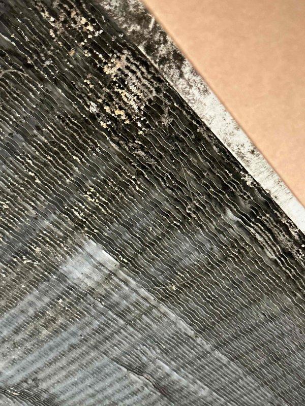 Responded to no cooling complaint on master bedroom heat pump and performed Comfort Plan Clean and Check service on four heat pump systems. Upon inspection, found evaporator coil heavily contaminated with dust, debris, and biological growth affecting airflow and heat transfer efficiency. Supply air temperature measured 61.5°F, confirming reduced cooling capacity. Thoroughly cleaned evaporator coil to remove buildup and restore proper operation. Completed comprehensive maintenance on all four heat pump systems including filter inspection, coil cleaning, refrigerant charge verification, electrical connection testing, and operational performance checks to ensure optimal system efficiency and reliability.