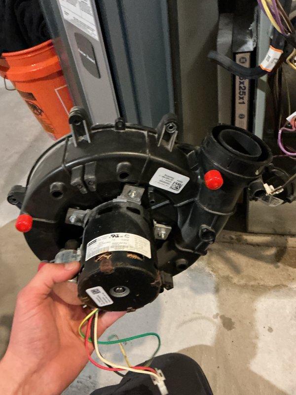 Replaced defective inducer motor under warranty with new FASCO unit retrieved from supplier. Removed failed motor assembly from furnace housing, disconnected all electrical connections, and installed replacement motor with proper wire routing and secure mounting. Verified all electrical connections were properly terminated and motor operated correctly upon system startup. Additionally completed water heater maintenance service as requested during same visit.