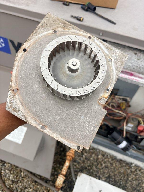 Replaced failed inducer motor on rooftop unit #1 with new FASCO model 7021-11458. Removed old motor assembly showing signs of wear, dust accumulation, and corrosion, then installed replacement unit and verified proper operation. Collected outstanding payment balance for completed repair work.