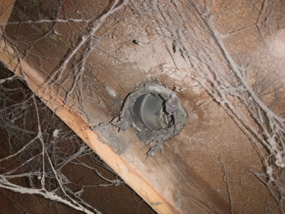 Caldwell, ID - Dryer vent diagnostic 