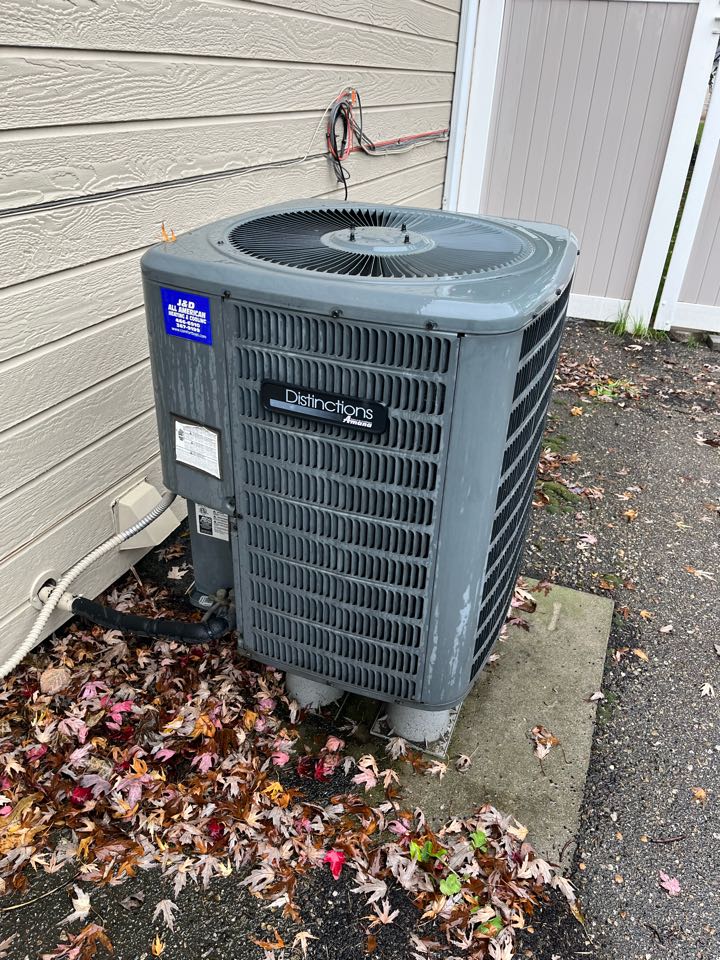 Nampa, ID - Heat pump and electric furnace tune up