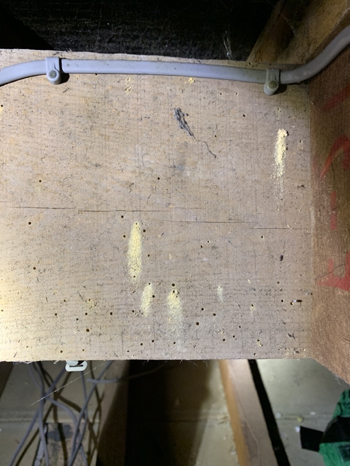 It’s proving to be a windy wet spring this March in Portishead for a domestic customer of ours. We are busy today carrying out a timber treatment in our customers loft space. The Bristol Pest Controller is an award winning pest control company in the southwest of England.