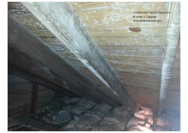 Recently had roof & gutters replaced and attic re-insulated. Almost over night mold growth exploded in the attic. Wants to know what's causing the mold growth, how to correct the problem and what it takes to remediate.