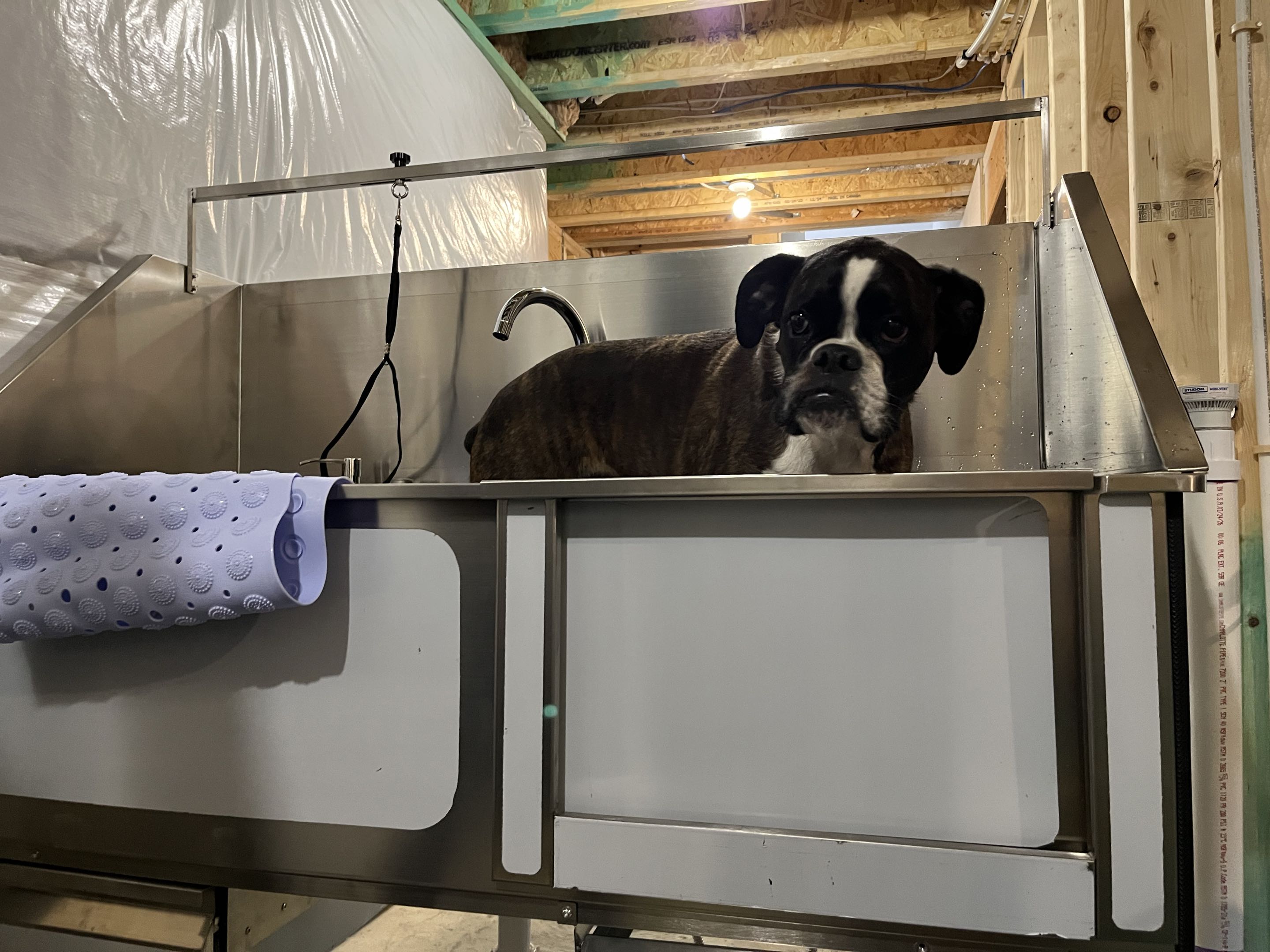 Installing dog wash station 