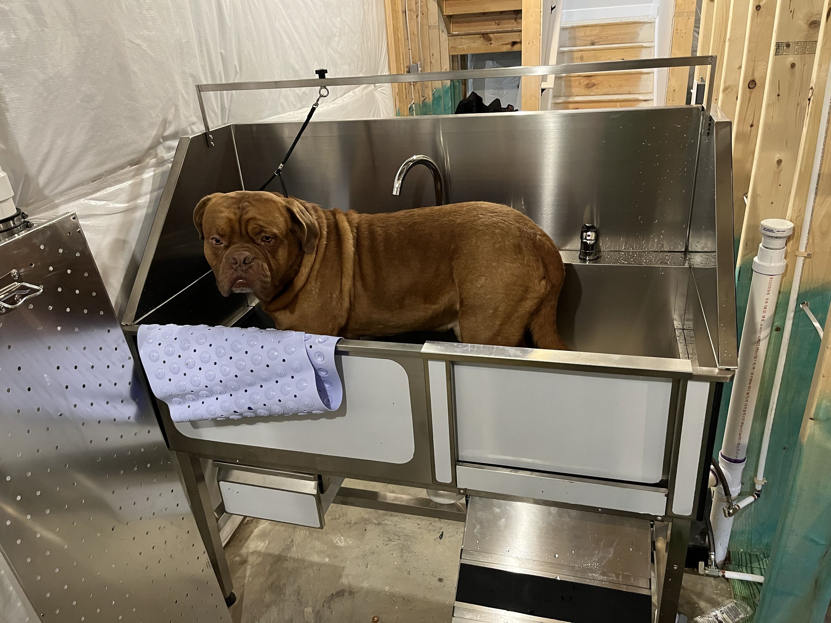 Installing dog wash station 