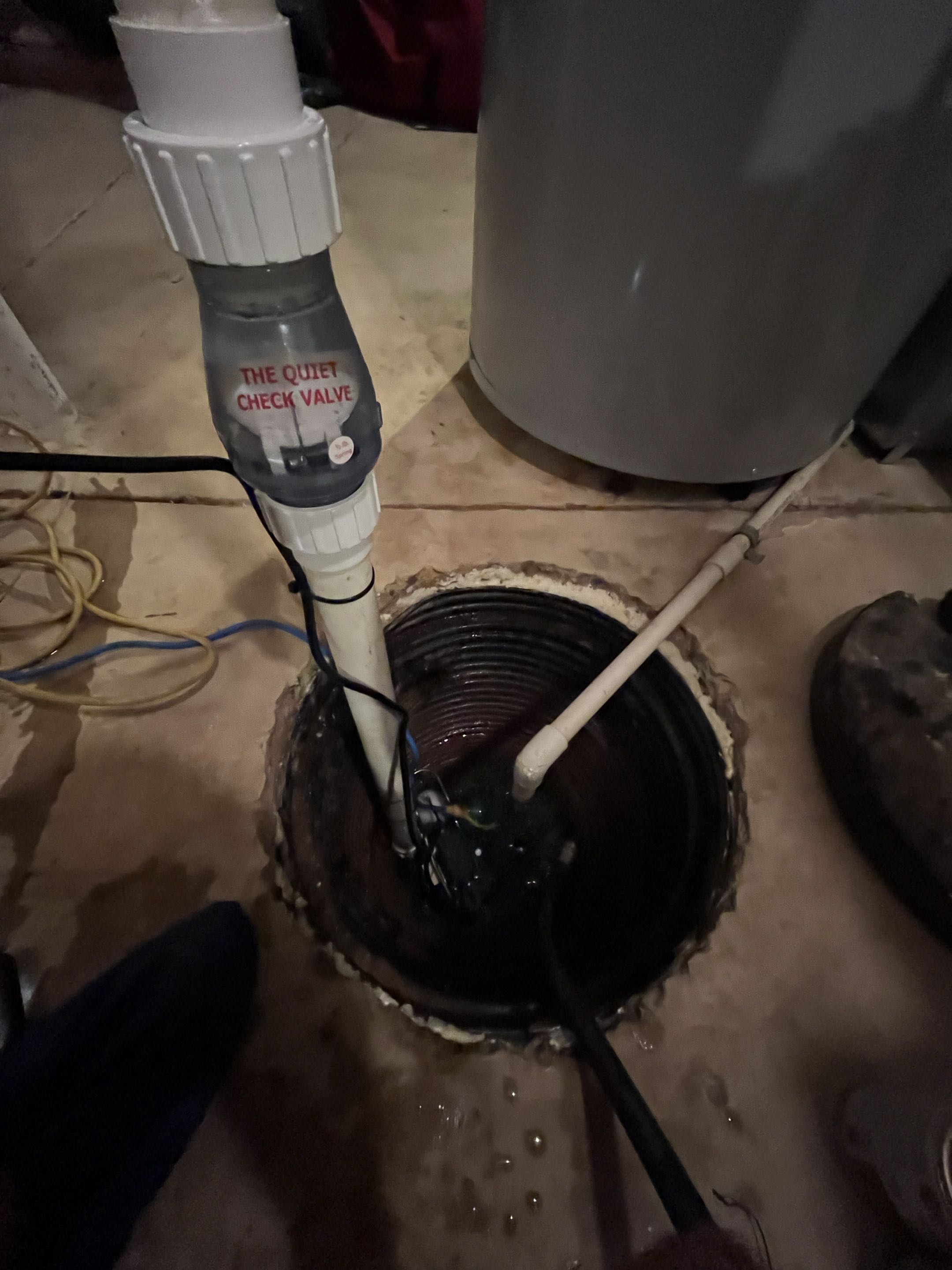Replacing Zoeller Sump pump and water heater expansion tank
