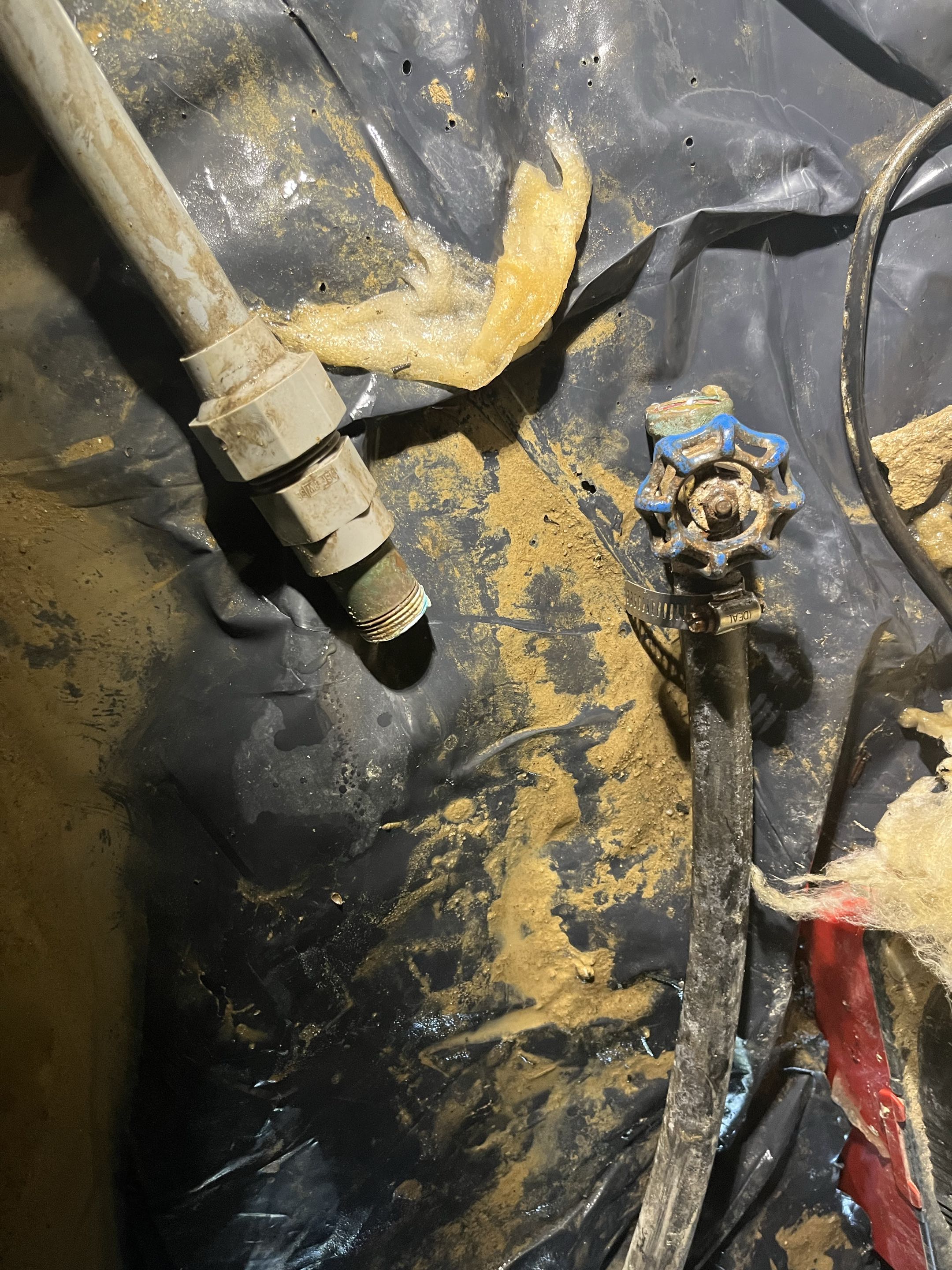 Repairing water line 