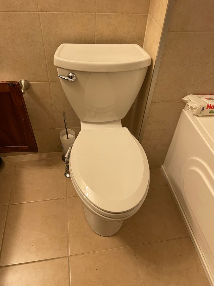 Replacement toilet and sink faucet 