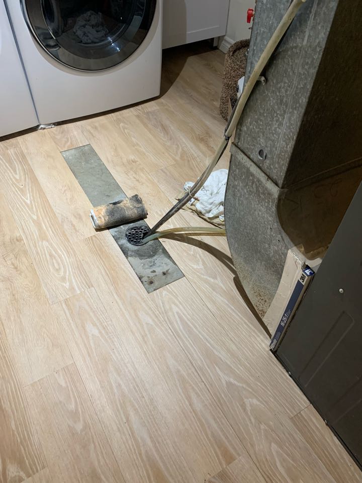 Unclogged main drain line 