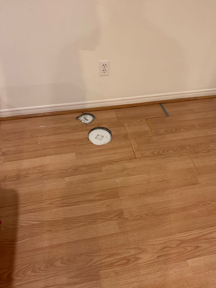 Snake main drain line 